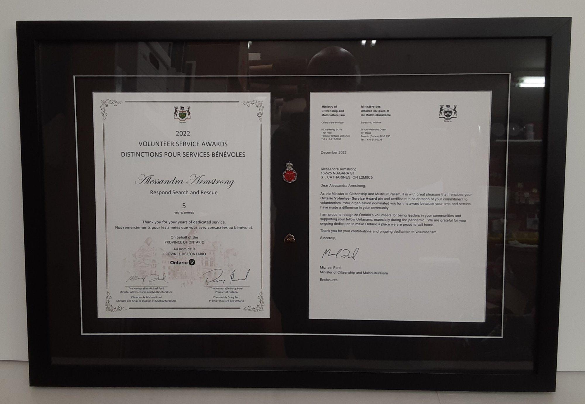 Diploma double  framing with pins