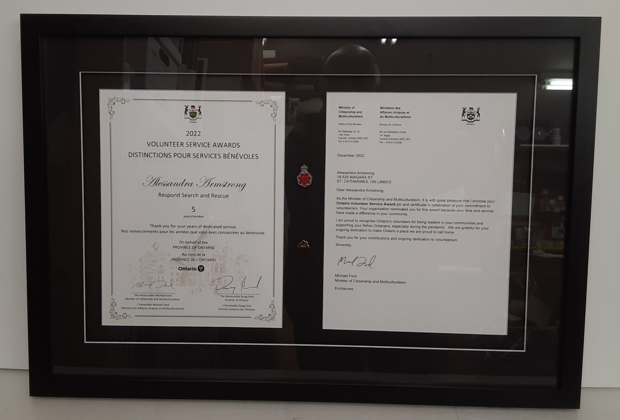 Diploma framing double with pins