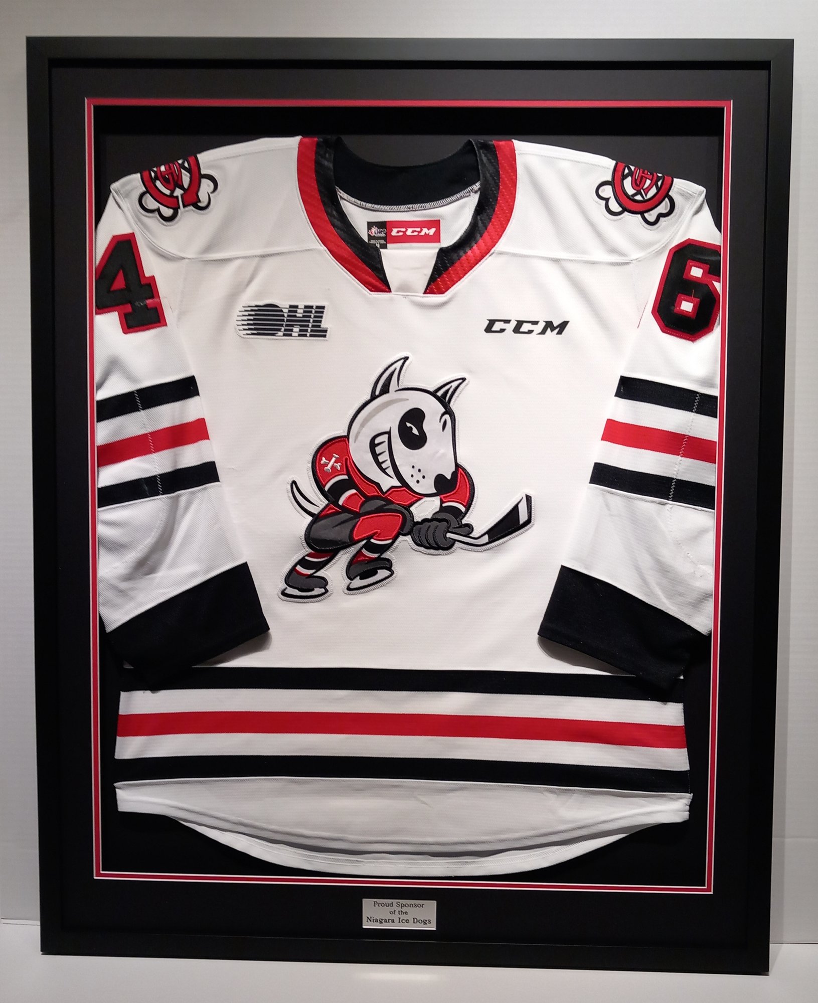 Jersey Ice Dogs 1 Jersey Ice Dogs 1
