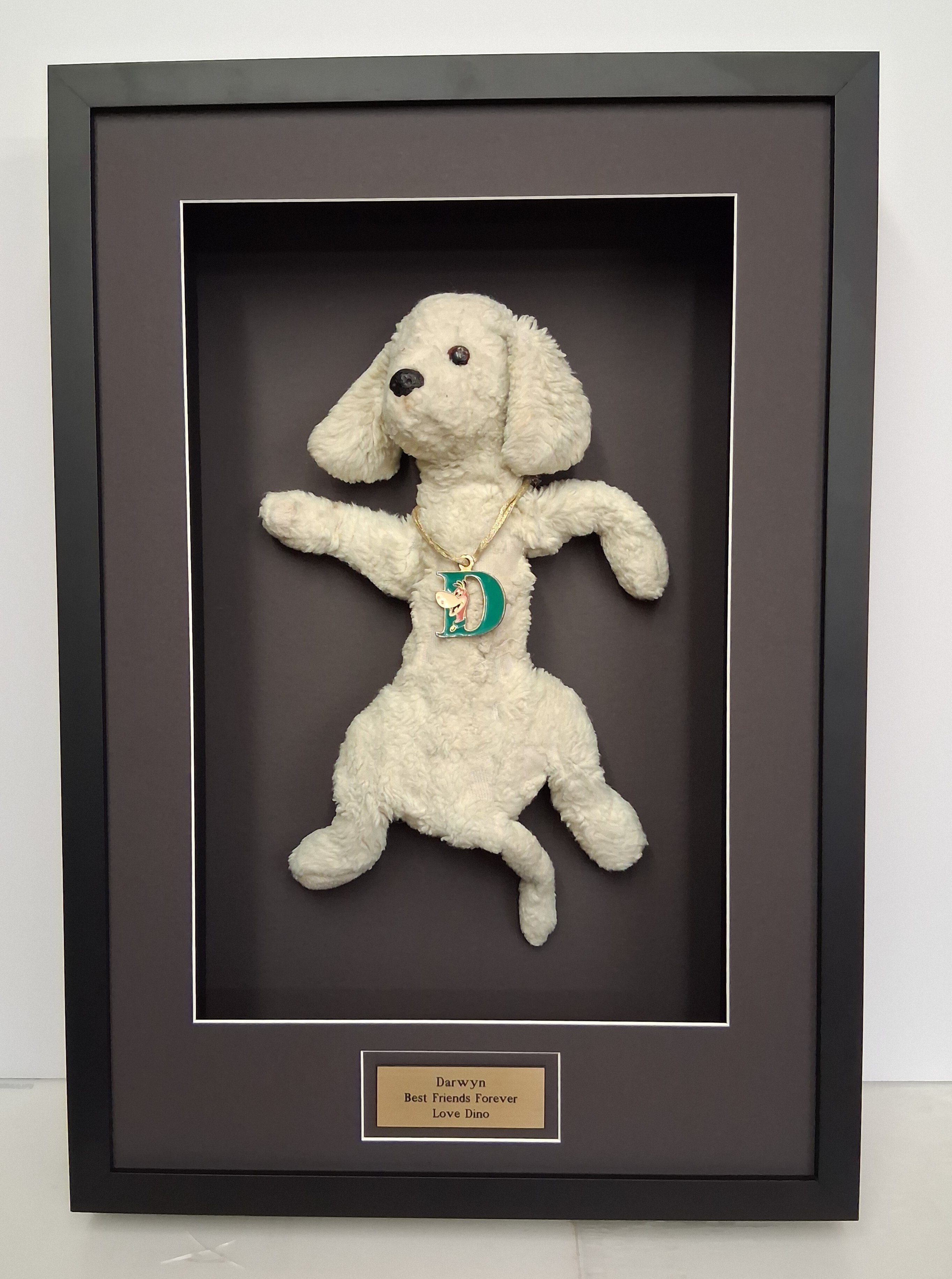  Object framing stuffed dog