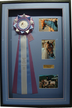  Shadow box framing of a winning Pony