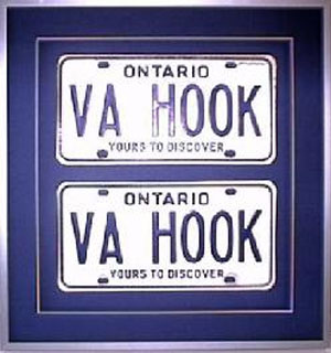  Custom framed License Plates