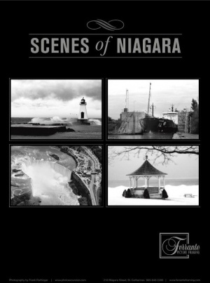  Sences of Niagara Poster 18 X 24