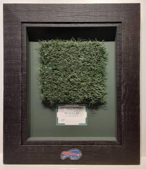  Buffalo Bills Turf